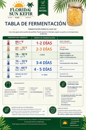 Vista 5 de Taza de granos Kéfir orgánicos vivos de agua (tibicos) probióticos naturales 1/4