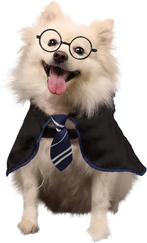 Vista 7 de Disfraz Coomour de bruja, para perro, gato, cachorro, ropa para perros pequeños, medianos, grandes, camisa con gafas