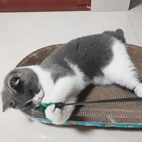 Vista 6 de 4 varitas interactivas para gatos, varita larga de 20 pulgadas con campana ruidosa para gatos y gatitos