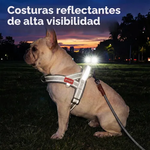 Vista 6 de Arnés para perro sin tirones con asa, chaleco reflectante ajustable para Corgi, arnés para mascotas acolchado con malla de aire transpirable