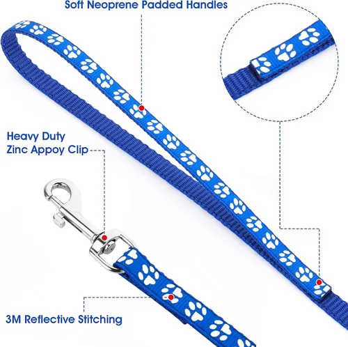 Vista 3 de Molain Collar ajustable para gatos y perros con correa, cuerda de entrenamiento duradera de liberación rápida, collar de hebilla para cachorros