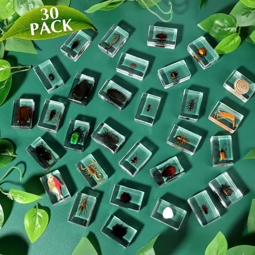 Vista 2 de 30 piezas de insectos en resina colección de insectos, pisapapeles, insectos reales en resina, varios especímenes de insectos preservados