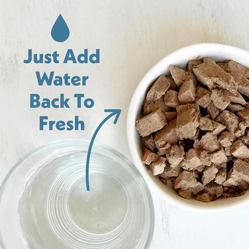 Vista 2 de Fresh Is Best Alimento liofilizado de carne de res para gatos, alimento crudo para gatos y felinos adultos, carne de res liofilizada con alto