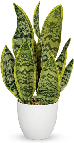 Vista 8 de Hollyone Planta de serpiente falsa de 12 pulgadas, pequeña planta de serpiente artificial en maceta con maceta de cerámica, planta Sansevieria