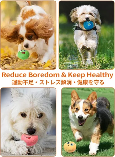 Vista 7 de SCHITEC Juguetes chirriantes para perros, [6 unidades] Pelotas de felpa suaves con chirriantes, juego interactivo para cachorros y mascotas pequeñas