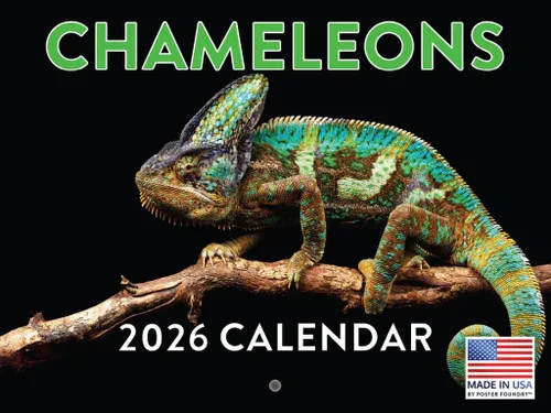 Vista 26 de Calendario mensual de pared de alpaca 2025 Fabricado en Estados Unidos