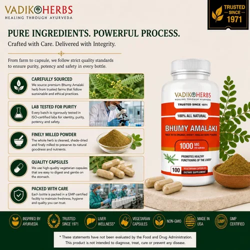 Vista 9 de Vadik Herbs Organic Bhumy Amalaki, 100 cápsulas, soporte hepático 1000 mg Organic Whole-Herb Phyllanthus amarus 1000mg Per Serving Traditional