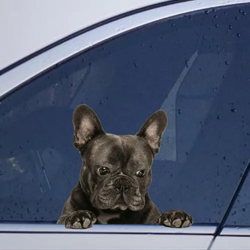 Vista 3 de Calcomanías de perro caniche, divertidas calcomanías de vinilo troqueladas para automóvil, laptop, parachoques Estilo-37