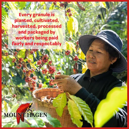 Vista 7 de Mount Hagen 25 paquetes de café descafeinado instantáneo de una sola porción – 1 paquete Granos arábica orgánicos descafeinados de tostado medio