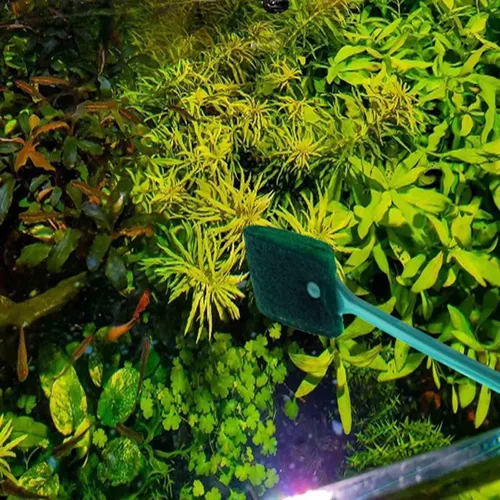 Vista 5 de 3 cepillos de limpieza de algas de acuario AOODOOM de doble cara con mango antideslizante, limpiador de esponja para acuarios de vidrio y cocina