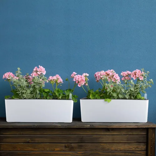 Vista 7 de Skelang Paquete de 2 Macetas de Autoriego, Maceta de Flores Rectangular con Indicador de Nivel de Agua, Caja de Jardinería de Ventana para Plantas