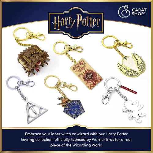 Vista 7 de Llavero 3D oficial de Harry Potter Golden Snitch
