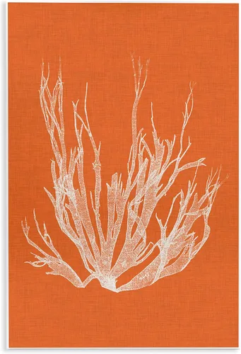 Vista 14 de Stupell Industries 'Coral Seaweed Blue White Beach Design' Placa de pared Sin marco