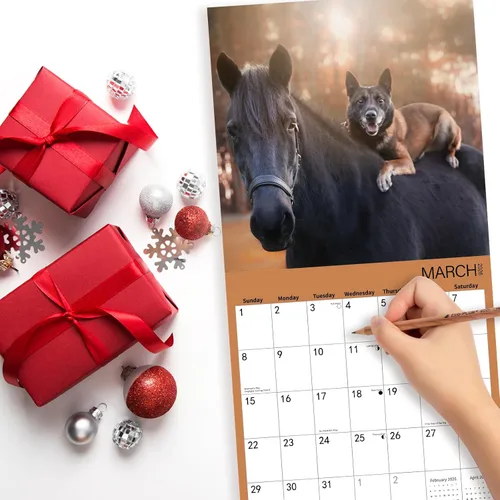 Vista 6 de Calendario de pared 2026, calendario 2026, calendario mensual de pared de amistad con animales, 12 x 24 pulgadas abierto, calendario planificador