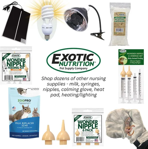 Vista 7 de Exotic Nutrition Set de lactancia de ardilla bebé (expandido) - Sustituto de leche, jeringas de alimentación