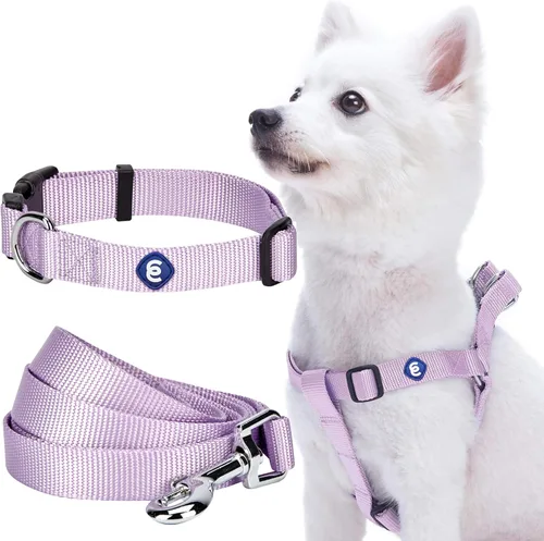 Vista 7 de Blueberry Pet Essentials - Juego de arnés de correa para perro a juego en naranja bermellón, collar de nailon clásico ajustable de color sólido