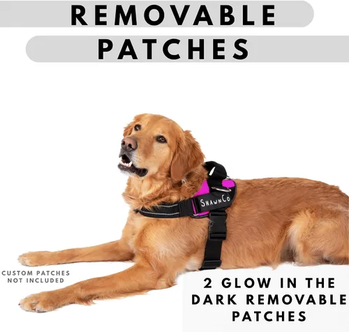 Vista 5 de ShawnCo Essential Pro - Arnés para perro, chaleco sin tirones para mascotas con 3 clips para correa y parches laterales removibles y reflectantes
