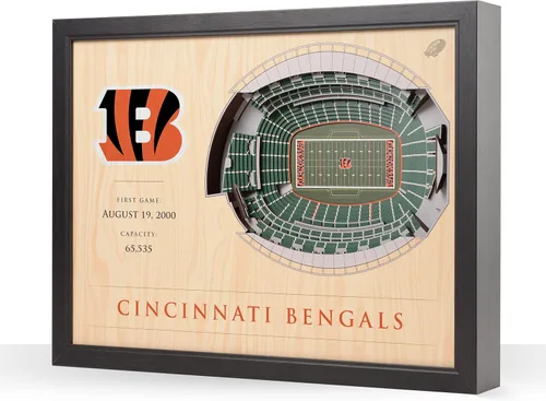 Vista 19 de YouTheFan NFL Arte de Pared StadiumView de 25 Capas