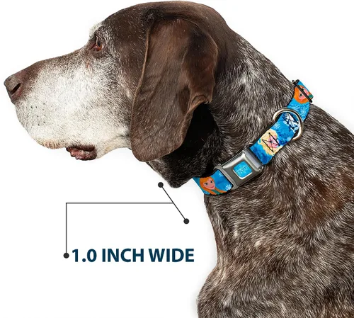 Vista 6 de Buckle-Down Collar de perro con hebilla de cinturón de seguridad, diseño de personajes de Frozen Poses azules, 1 pulgada de ancho, se adapta a