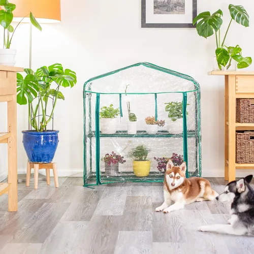 Vista 6 de Educational Insights GreenThumb invernadero para aula