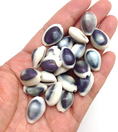 Vista 2 de PEPPERLONELY Purple Ring Cowrie Sea Shells, 8 OZ Aprox. 250+PC Shells, 1/2 pulgada