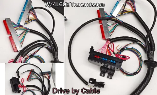 Vista 7 de LS Arnés de cableado Drive por Cable 5.3, ls Arnés de cableado independiente 4L60E DBC, para 1997-2006 LS1 4.8L 5.3L 6.0L, EV1 - Enchufe de jeringa