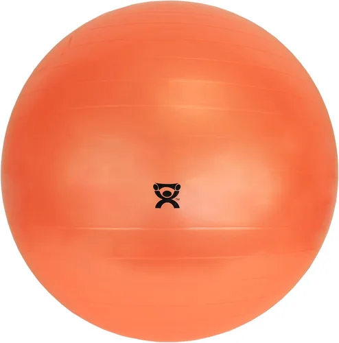 Vista 8 de Cando Non-Slip Vinyl Inflatable Exercise Ball