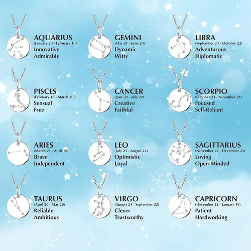 Vista 5 de YL Collar de plata de ley con diseño de constelación para mujer, diseño de astrología, moneda, disco y horóscopo