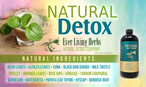 Vista 4 de Natural Herbal Detox 16 Oz. Neem, Burdock Root, Dandelion, Nutrients & Deep Cleansing