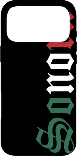Vista 22 de Sonora Mexico Mexican Flag State Estado Case for iPhone 16