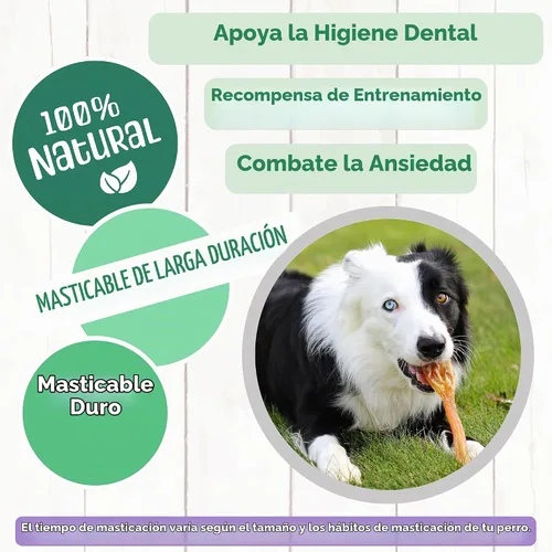 Vista 4 de Nature Gnaws Tendones de Res para Perros (8oz) - Grosor Mixto - Larga Duración para Perros Pequeños y Medianos - Huesos Masticables Naturales