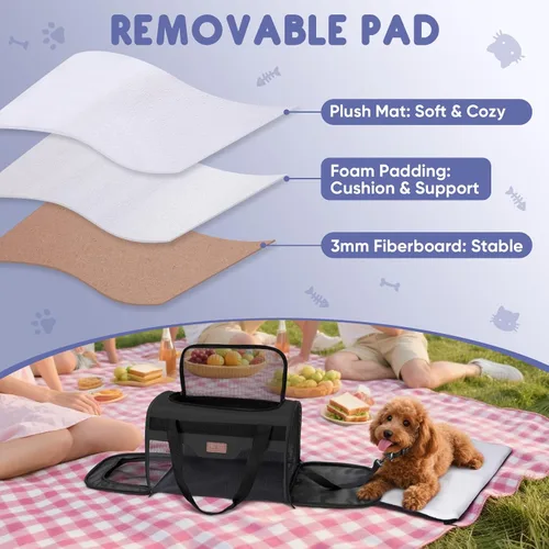 Vista 5 de BALEINE Transportador para gatos, transportador para cachorros y perros para mascotas pequeñas y medianas de hasta 15 libras, bolsa de viaje