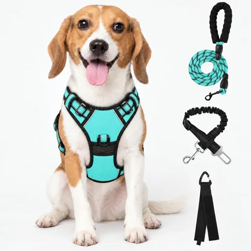 Vista 20 de FURRYFECTION - Arnés para perro a cuadros con correa y cinturón de Rosa