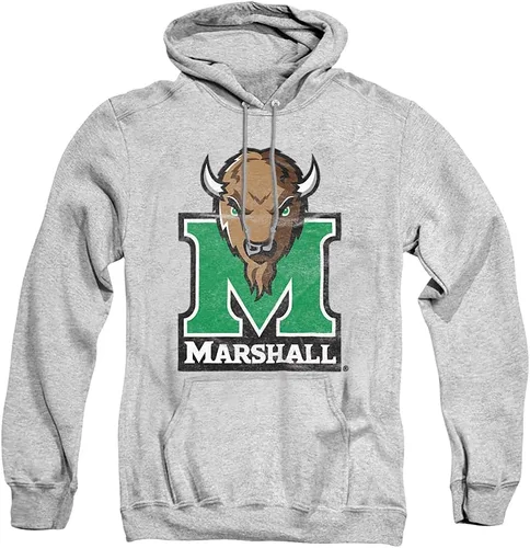 Vista 16 de Distressed College Primary Logo Adult Pullover Hoodie Collection 1 Universidad Estatal de Albany