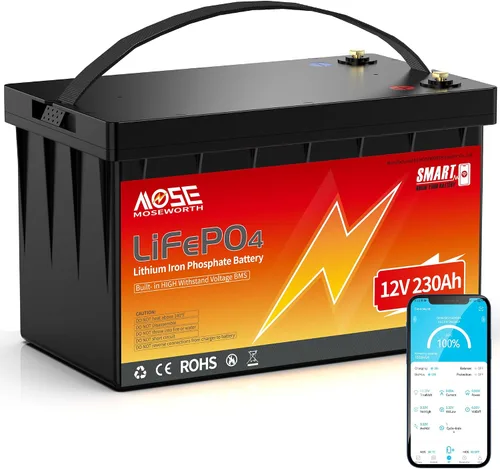 Vista 11 de Batería de litio LiFePO4 de 12 V 100 Ah con Bluetooth, BMS integrado, protección a baja temperatura, más de 5000 ciclos, celdas de batería