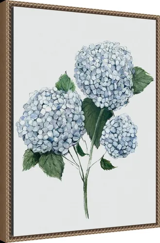 Vista 2 de Amanti Art Framed Canvas Wall Art 24x18 Fresh Blue Hydrangea II by Hannah Dawson, Framed Wall Art Canvas, Flowers Artwork, Traditional Decor, Medium
