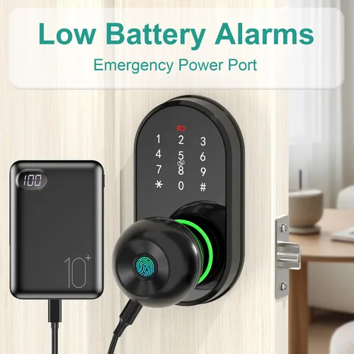 Vista 9 de Cerradura inteligente para puerta de entrada sin llave con perilla, cerradura de puerta con teclado y huella dactilar con mango, código electrónico