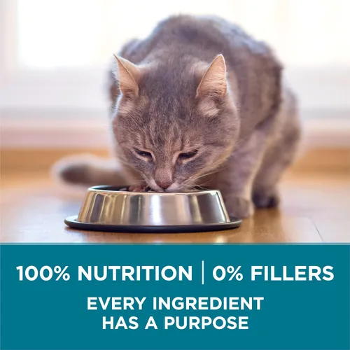 Vista 7 de Purina ONE Alimento seco natural para gatos, mezcla con pollo real, bolsa de 7 libras