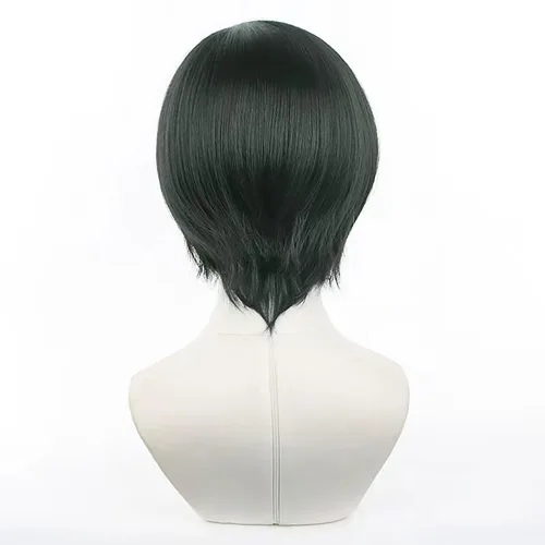 Vista 4 de Pelucas de anime verde oscuro para hombre, peluca corta y recta con flequillo para mujer, peluca COS para Halloween, Navidad, cómic, transmisión