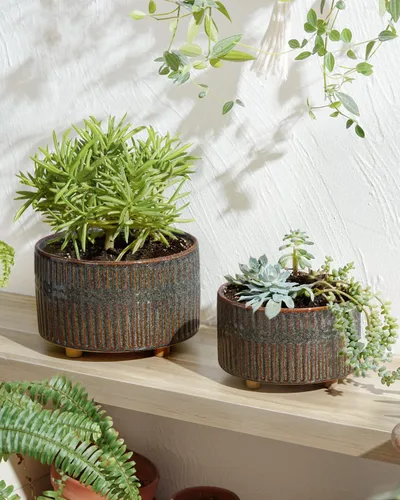 Vista 2 de LE TAUCI Macetas para suculentas, macetas de cerámica de 6.5+8 pulgadas para plantas de interior, macetas redondas poco profundas para suculentas