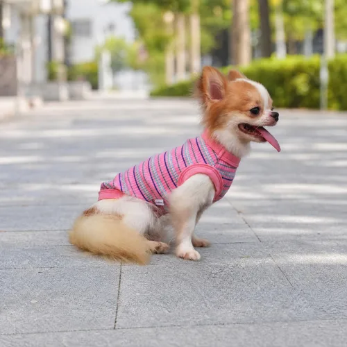 Vista 5 de LOPHIPETS Camiseta Chaleco 100% Algodón Acanalado para Perros Pequeños Teacup Chihuahua Yorkie Ropa de Cachorro Camiseta sin Mangas-Rosa/XS
