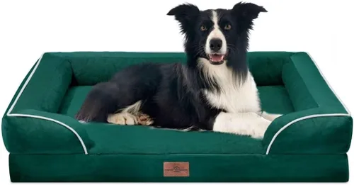 Vista 209 de Comfort Expression - Cama ortopédica para perros medianos, 28 x 19 pulgadas, cama impermeable y de apoyo de espuma con cojines removibles, sofá