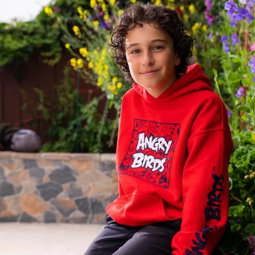 Vista 3 de Angry Birds Sudadera oficial de Comic Fill Box con capucha para niños, niñas, unisex