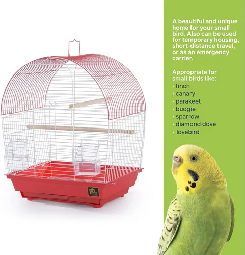 Vista 4 de Prevue Pet Products South Beach Dome Top Bird Jaula, Coral (SP50100)