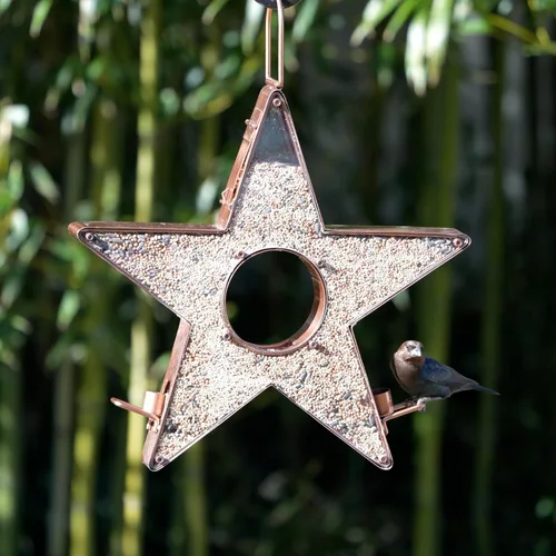 Vista 2 de Good Directions Alimentador de estrellas con plexiglás