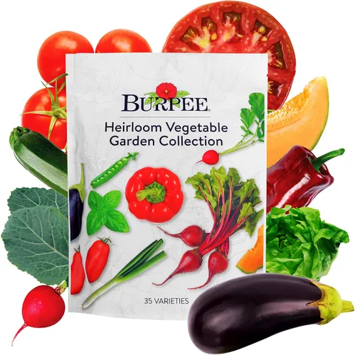 Vista 8 de Colección Burpee Best 10 Paquetes de Mezcla Fresca Sin OGM de Pimiento Picante y Variedades Dulces Jalapeño, Semillas de Pimiento Morrón y Más