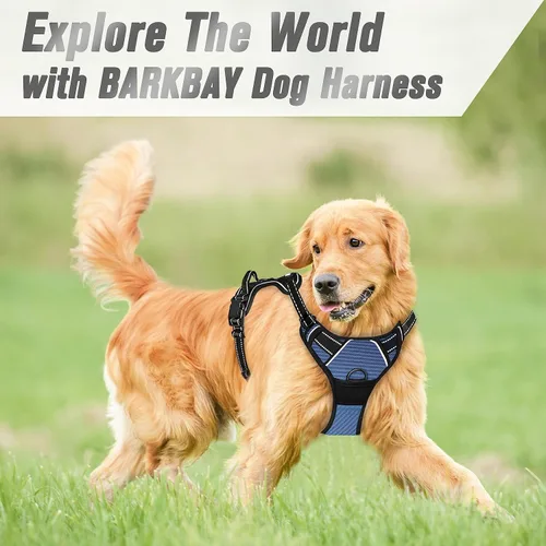 Vista 56 de BARKBAY - Arnés para perro sin tirones con clip frontal, material resistente y reflectante, asa de fácil control para pasear perros grandes