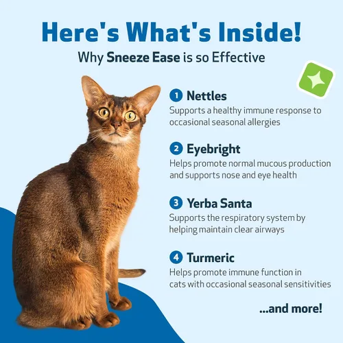 Vista 6 de Pet Wellbeing Estornudar para gatos - Estornudos ocasionales, alergias estacionales, molestias en la nariz y los ojos, ojos y ortigas, suplemento