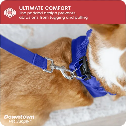 Vista 166 de Downtown Pet Supply Arnés para perro Step-in – Sin tirones, malla acolchada ajustable con ribete reflectante, correa de hebilla segura – Arnés