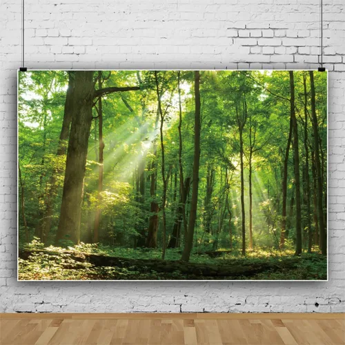 Vista 2 de Telón de fondo de bosque pacífico de 5 x 3 pies para fotografía, árboles verdes, fondo de sol para camping, suburbios, picnic, fiesta, decoración